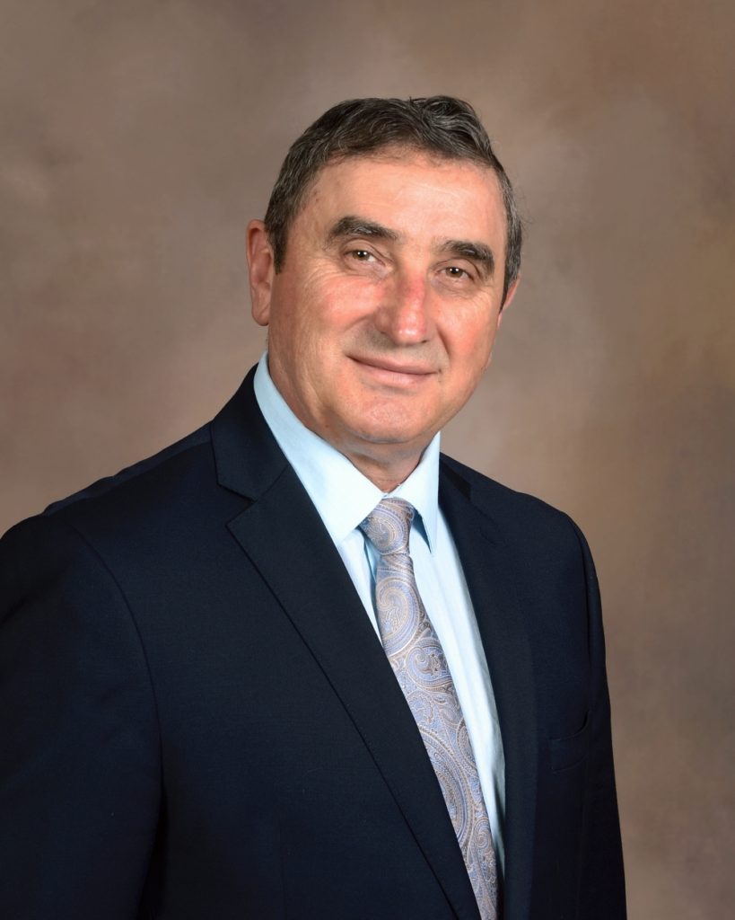 Liviu Borodi
